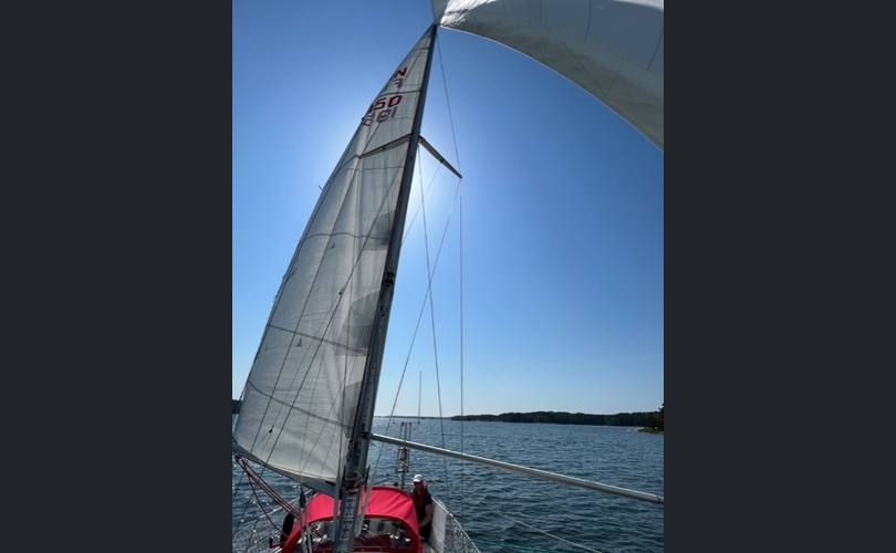 Albin Cumulus-kuva-9